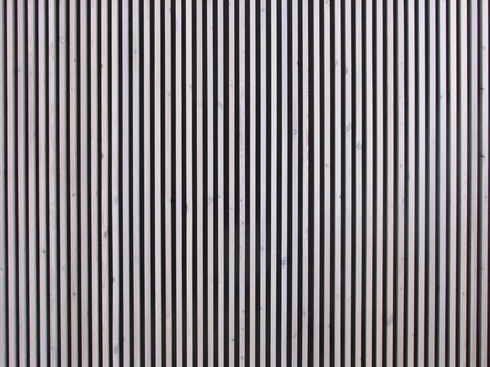 Kunst — Stefan vom Scheidt