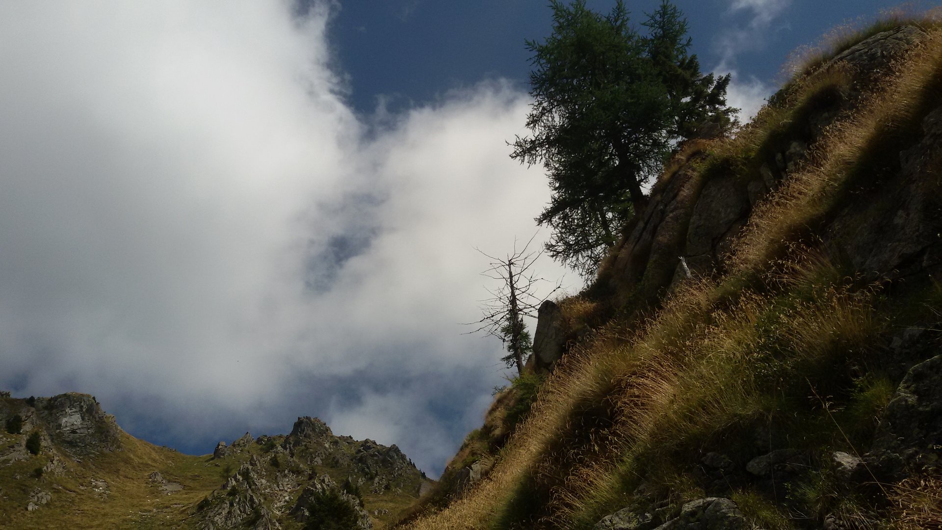 Landschaft — Stefan vom Scheidt