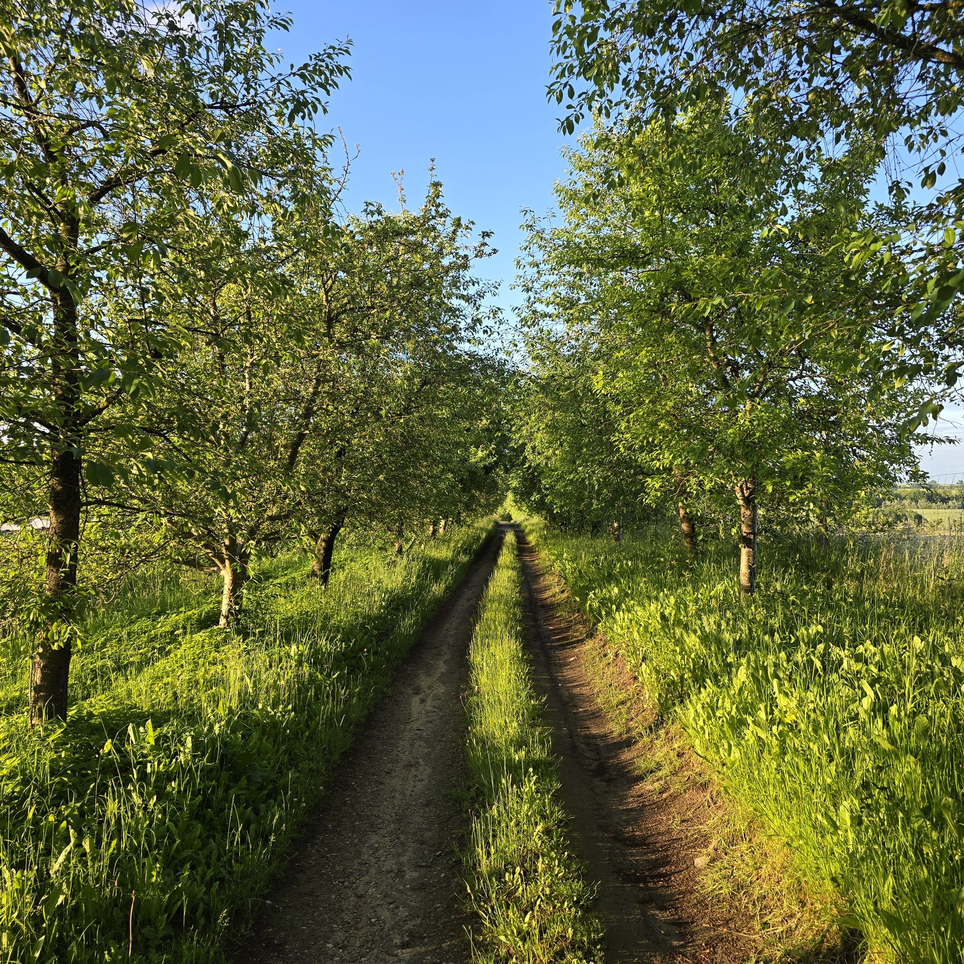 Landschaft — Stefan vom Scheidt