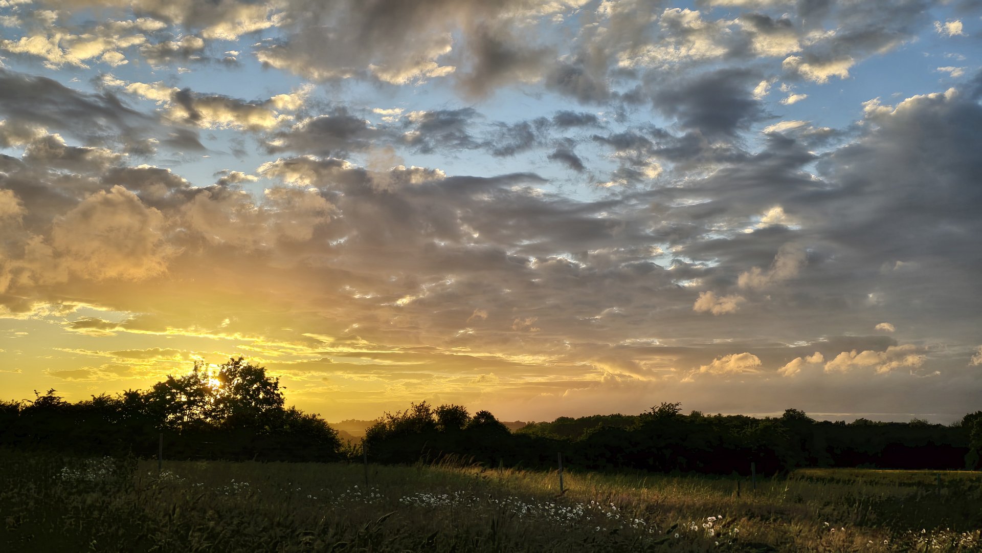 Landschaft — Stefan vom Scheidt