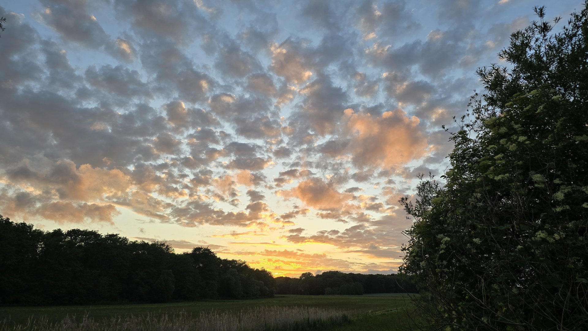 Landschaft — Stefan vom Scheidt