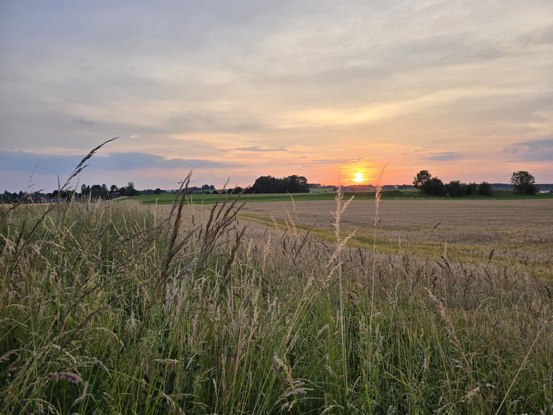 Landschaft — Stefan vom Scheidt