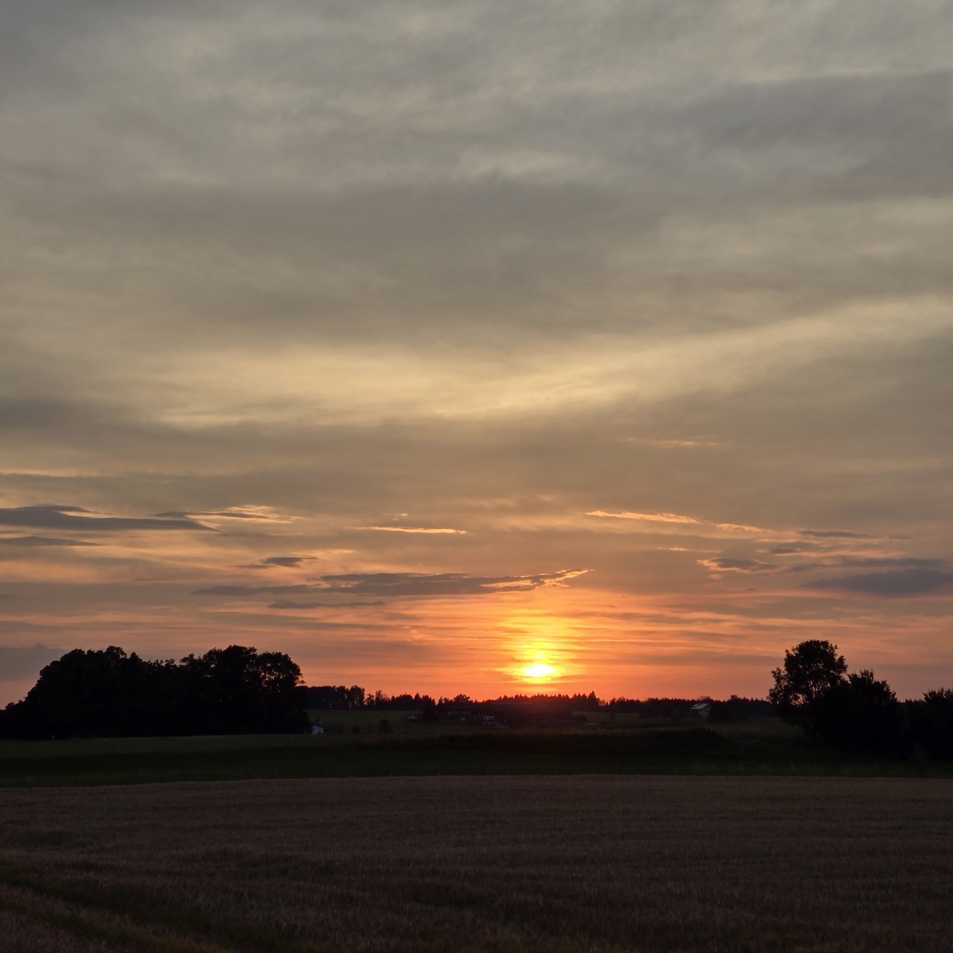 Landschaft — Stefan vom Scheidt
