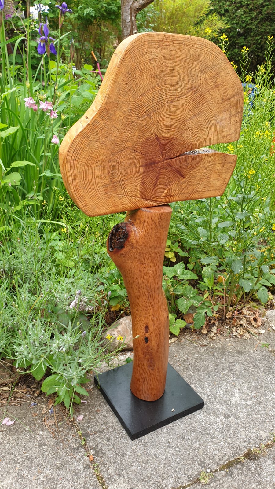 Holz — Stefan vom Scheidt