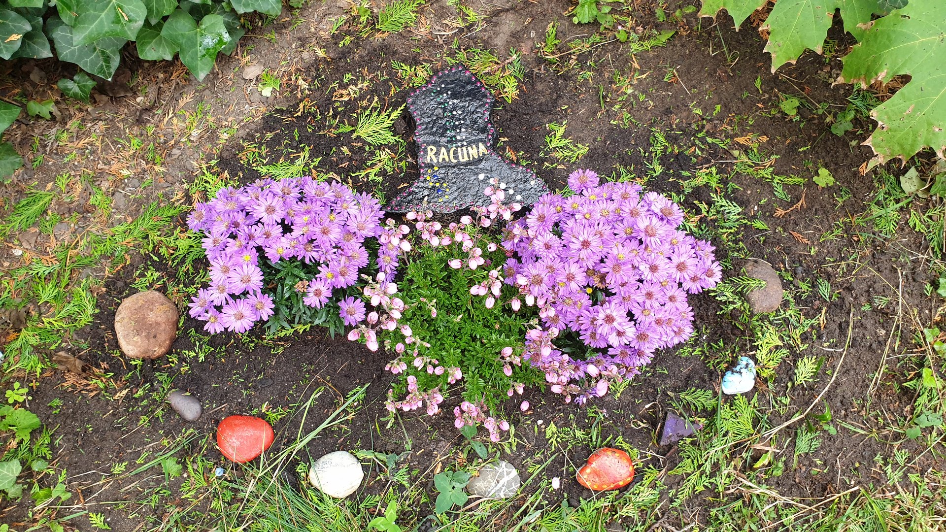 Stein — Stefan vom Scheidt